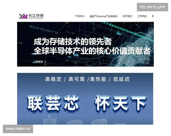 中国存储产业崛起已成必然:2023年长江存储将赶“英”超“美” 中国存储产业崛起已成必然:2023年长江存储将赶“英”超“美”