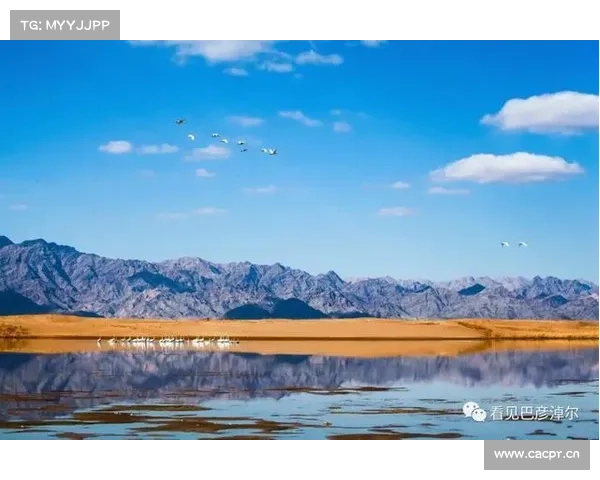 不止高颜值!黄河北岸有一片“哈佛红” 不止高颜值!黄河北岸有一片“哈佛红”